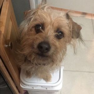 Meet your Posher, Audrey